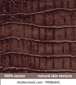 vector illustration. natural skin textures