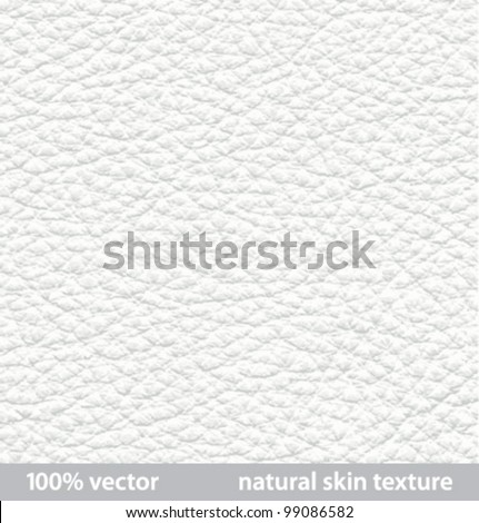 vector illustration. natural skin textures