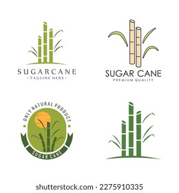 Vector Illustration of Natural Sweet Sugar Cane Plant with Green Leaves. Sugarcane Plant Simple Design.