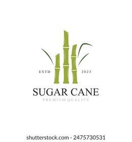 Vector Illustration of Natural Sweet Sugar Cane Plant with Green Leaves. Sugarcane Plant Simple Design.