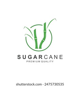 Vector Illustration of Natural Sweet Sugar Cane Plant with Green Leaves. Sugarcane Plant Simple Design.