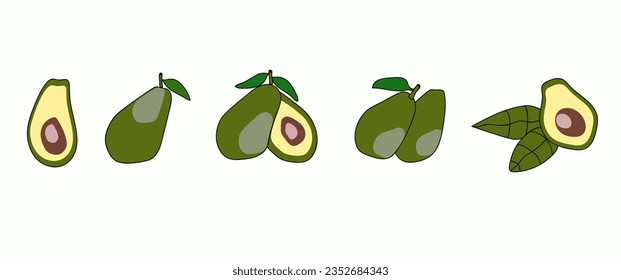 Vector illustration Natural tropical fruit, doodles avocado. organic fruits or vegetarian food