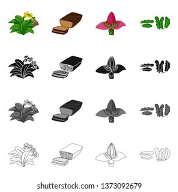 Vector illustration of natural and vegetarian icon. Set of natural and eating stock symbol for web.