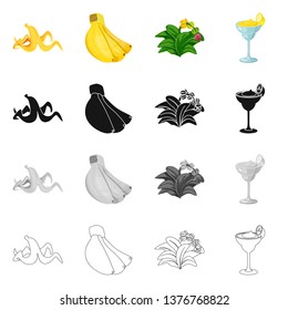 Vector illustration of natural and vegetarian icon. Set of natural and eating stock symbol for web.