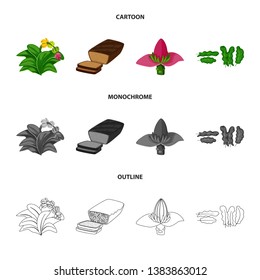 Vector illustration of natural and vegetarian icon. Set of natural and eating stock symbol for web.