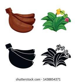 Vector illustration of natural and vegetarian icon. Collection of natural and eating vector icon for stock.