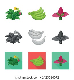 Vector illustration of natural and vegetarian sign. Collection of natural and eating stock symbol for web.