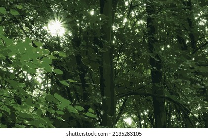 Vector illustration. Natural view. The forest and its wild plants. Through the trees shining through the sun's rays. Sunshine. Trees. Forest. Green Earth.
