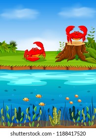 vector illustration of the natural view with the red crab on the grass and a big river infront of it