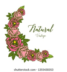 Vector illustration natural vintage with rose flower frame hand drawn