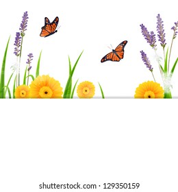 Vector Illustration of a Nature Background