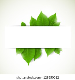 Vector Illustration of a Nature Background with Leaves