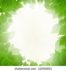 Vector Illustration of a Nature Background with Leaves