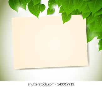 Vector Illustration of a Nature Background with Leaves