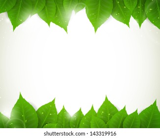 Vector Illustration of a Nature Background with Leaves