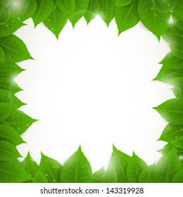 Vector Illustration of a Nature Background with Leaves