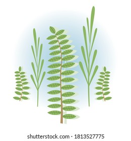 Vector illustration of nature background, leaves, flowers. Pattern.