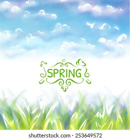 Vector illustration of nature background with sky and grass