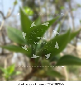 Vector illustration of nature blurred background.