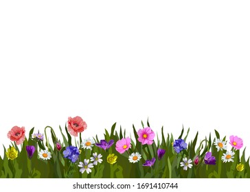 Vector illustration of nature with field flowers and white back