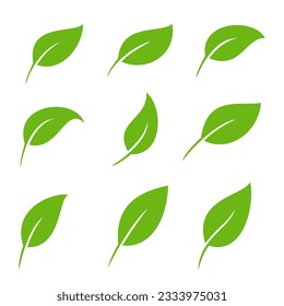 vector illustration nature green leaf leaves icon sign