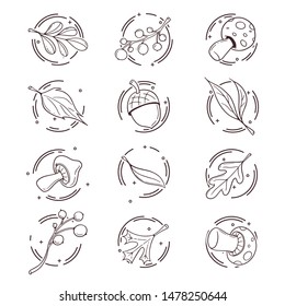 Vector Illustration from nature icons set. Good for card, poster, banner, invitation, postcard, icon. EPS 10