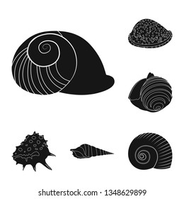 Vector illustration of nature  and ocean logo. Set of nature  and mollusk vector icon for stock.