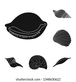 Vector illustration of nature  and ocean logo. Set of nature  and mollusk vector icon for stock.