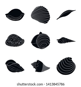 Vector illustration of nature  and ocean sign. Collection of nature  and mollusk stock symbol for web.