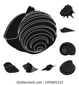Vector illustration of nature  and ocean symbol. Collection of nature  and mollusk vector icon for stock.