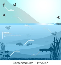 Vector illustration of nature on a blue background. Lake or river near the mountain. Birds and fish living in the lake. 