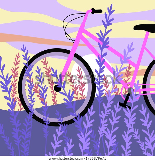 pink bike cycle