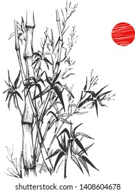 Vector illustration of nature set. Natural composition of young bamboo 