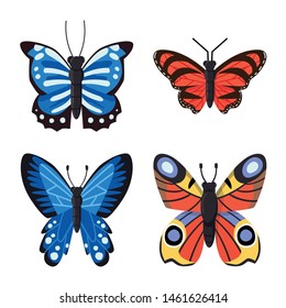Vector illustration of nature and summer symbol. Set of nature and animal stock symbol for web.