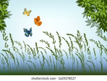 Vector illustration of nature trees butterflies and grass on a clear sky background