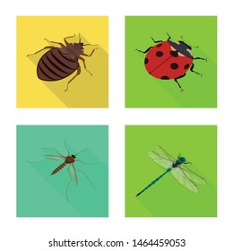 Vector illustration of nature and wildlife logo. Set of nature and wing stock vector illustration.