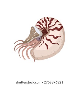 Vector illustration of a nautilus with a spiral shell and tentacles.