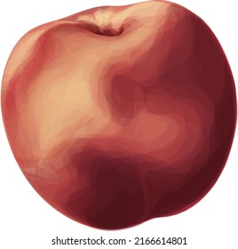 Ilustración vectorial de una nectarina aislada en un fondo blanco
