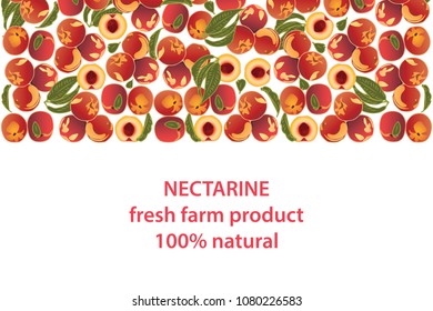 vector illustration of nectarine and leaf design background white and fruit and text fresh farm product 100% natural EPS10