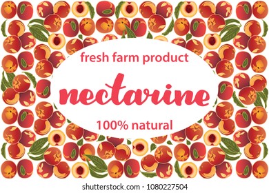 vector illustration of nectarine and leaf design background white and fruit and text fresh farm product 100% natural EPS10