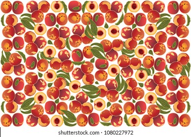 vector illustration of nectarine and leaf design background white and fruit EPS10