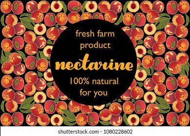 vector illustration of nectarine and leaf design with lettering nectarine background black and fruit and text fresh farm product 100% natural EPS10
