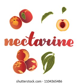 vector illustration of nectarine and leaf design with lettering background white EPS10