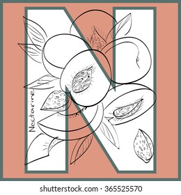 Vector illustration of nectarines inside of letter N. Limited colors graphic. Hand drawing.