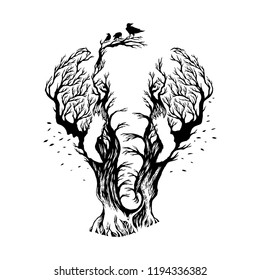 Vector Illustration Negative Space Elephant With Forest Background