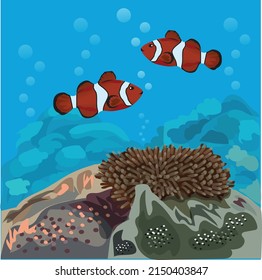Vector illustration of nemo fish swimming under the beautiful sea with coral