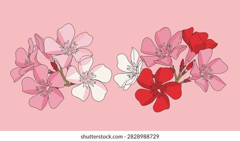 Vector illustration of Nerium oleander flower clusters featuring red, pink, and white blossoms with green stems isolated on a solid light pink background in a clean botanical style.