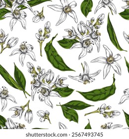 Vector illustration of neroli flower with leaves and buds in seamless pattern. Watercolor wallpaper with floral pattern is perfect for textile design. Hand drawn.