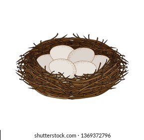 Vector illustration of a nest with eggs