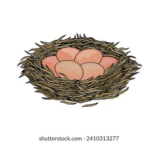 Ilustración vectorial de un nido con huevos